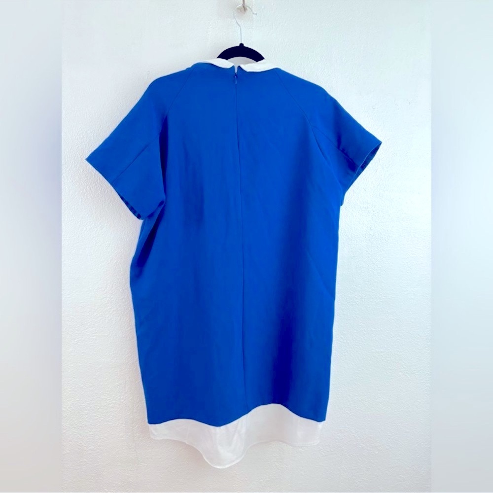 Zara Collared Dress - Picture 7 of 9